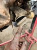 Filename : Engine+Mount+2024-07-24.jpeg
Filesize : 237KB
Dimensions : 1500x2000
Date added : Jul 24, 2024 Engine+Mount+2024-07-24.jpeg