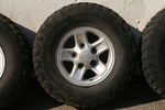 Filename : PICT5025.JPG
Filesize : 1128KB
Dimensions : 1750x1164
Date added : Dec 21, 2021 PICT5025.JPG