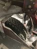 Filename : IMG_4302.jpeg
Filesize : 1201KB
Dimensions : 1750x2333
Date added : Sep 18, 2023 IMG_4302.jpeg