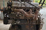 IMG_9679+copy.jpg