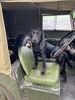 Filename : 8D3F1680-1F1C-42E9-B761-91B719534C57.jpeg
Filesize : 1500KB
Dimensions : 1750x2333
Date added : Apr 10, 2021 8D3F1680-1F1C-42E9-B761-91B719534C57.jpeg