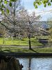 Filename : 79FE278F-1991-4B07-B280-161175F498DF.jpeg
Filesize : 2133KB
Dimensions : 1750x2333
Date added : Jan 30, 2022 79FE278F-1991-4B07-B280-161175F498DF.jpeg