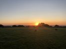 Filename : E23099A3-A587-47D0-921A-561CE0587EEB.jpeg
Filesize : 457KB
Dimensions : 1750x1313
Date added : Jan 30, 2022 E23099A3-A587-47D0-921A-561CE0587EEB.jpeg