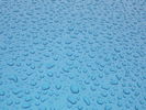 Filename : F5AAE7DB-61D3-4D47-81AB-85B605A2D00D.jpeg
Filesize : 1205KB
Dimensions : 1750x1313
Date added : Mar 17, 2021 F5AAE7DB-61D3-4D47-81AB-85B605A2D00D.jpeg