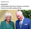 Filename : Chas.png
Filesize : 209KB
Dimensions : 417x391
Date added : Apr 03, 2020 Chas.png