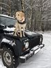Filename : Untitled.jpg
Filesize : 102KB
Dimensions : 405x540
Date added : Jan 27, 2021 Untitled.jpg