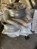 Filename : IMG_7210.jpeg
Filesize : 1361KB
Dimensions : 1750x2333
Date added : May 09, 2024 IMG_7210.jpeg