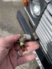 Filename : IMG_8666.jpeg
Filesize : 764KB
Dimensions : 1750x2333
Date added : Aug 24, 2024 IMG_8666.jpeg