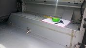 Filename : 20190711_104710.jpg
Filesize : 294KB
Dimensions : 1750x984
Date added : Apr 15, 2020 20190711_104710.jpg