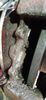 Filename : 20210618_201638.jpg
Filesize : 1290KB
Dimensions : 1750x3789
Date added : Jun 19, 2021 20210618_201638.jpg