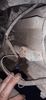 Filename : 20210926_152903.jpg
Filesize : 1889KB
Dimensions : 1750x3789
Date added : Sep 27, 2021 20210926_152903.jpg