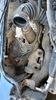 Filename : 20221024_125408.jpg
Filesize : 1409KB
Dimensions : 1750x3111
Date added : Oct 31, 2022 20221024_125408.jpg