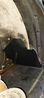 Filename : 20241101_201742.jpg
Filesize : 2511KB
Dimensions : 1750x3889
Date added : Nov 08, 2024 20241101_201742.jpg