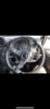 Filename : D772B85B-7883-4011-A481-60147426D662.png
Filesize : 5066KB
Dimensions : 1242x2688
Date added : Sep 07, 2021 D772B85B-7883-4011-A481-60147426D662.png