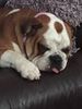 Filename : L3.jpg
Filesize : 457KB
Dimensions : 1750x2333
Date added : Dec 01, 2020 L3.jpg