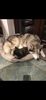 Filename : D116B962-1A2D-4B59-B6B9-E0BABFD3AD54.jpeg
Filesize : 349KB
Dimensions : 1125x2436
Date added : Jan 25, 2021 D116B962-1A2D-4B59-B6B9-E0BABFD3AD54.jpeg