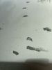 IMG_0878.jpeg
