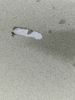 IMG_0885.jpeg