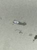 IMG_0886.jpeg