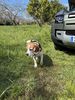 IMG_9699.jpeg