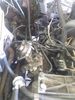 Filename : 20210212_093128.jpg
Filesize : 1091KB
Dimensions : 1750x2333
Date added : Feb 12, 2021 20210212_093128.jpg