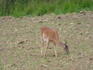 DSCN4821.JPG