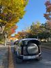 Filename : IMG_7044S.jpg
Filesize : 970KB
Dimensions : 1750x2333
Date added : Nov 23, 2023 IMG_7044S.jpg