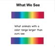see-animals-with-color-range-larger-than-ours-see.jpeg