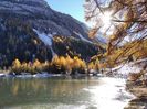 Filename : 1636311759271.jpg
Filesize : 1583KB
Dimensions : 1750x1309
Date added : Nov 07, 2021 1636311759271.jpg