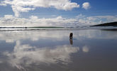 Filename : 20220928_144004b.jpg
Filesize : 1424KB
Dimensions : 1750x1060
Date added : Sep 28, 2022 20220928_144004b.jpg
