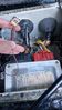 Filename : 20220724_171823.jpg
Filesize : 1418KB
Dimensions : 1750x3108
Date added : Jul 24, 2022 20220724_171823.jpg