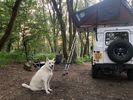 Filename : Camping+3.jpg
Filesize : 126KB
Dimensions : 640x481
Date added : Mar 31, 2023 Camping+3.jpg