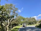 Filename : 0CA87867-AC85-4429-A4C0-9AA2676CE68A.jpeg
Filesize : 1117KB
Dimensions : 1750x1313
Date added : Sep 04, 2023 0CA87867-AC85-4429-A4C0-9AA2676CE68A.jpeg