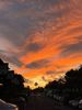 Filename : 7019F66E-0046-4B2B-9038-76506182C293.jpeg
Filesize : 822KB
Dimensions : 1750x2333
Date added : Jul 09, 2023 7019F66E-0046-4B2B-9038-76506182C293.jpeg