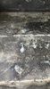 Filename : IMG_3504~0.jpeg
Filesize : 1616KB
Dimensions : 1750x3111
Date added : Oct 30, 2023 IMG_3504~0.jpeg
