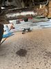 Filename : rear_axle_serial2JPG.jpeg
Filesize : 1108KB
Dimensions : 1750x2333
Date added : Jul 11, 2023 rear_axle_serial2JPG.jpeg