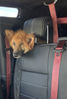 Filename : IMG_1690.jpeg
Filesize : 637KB
Dimensions : 750x1108
Date added : Jul 25, 2023 IMG_1690.jpeg