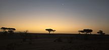 Filename : 20241128_073848.jpg
Filesize : 146KB
Dimensions : 1750x809
Date added : Dec 10, 2024 20241128_073848.jpg
