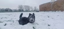Filename : 20240109_111700.jpg
Filesize : 416KB
Dimensions : 1750x788
Date added : Jan 14, 2024 20240109_111700.jpg