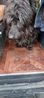 Filename : 20240504_072508.jpg
Filesize : 1438KB
Dimensions : 1750x3889
Date added : May 04, 2024 20240504_072508.jpg