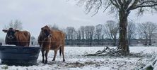 Filename : IMG-20240110-WA0001.jpg
Filesize : 166KB
Dimensions : 1750x788
Date added : Jan 14, 2024 IMG-20240110-WA0001.jpg