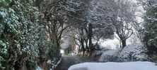 Filename : IMG-20240114-WA0008.jpg
Filesize : 168KB
Dimensions : 1750x788
Date added : Jan 14, 2024 IMG-20240114-WA0008.jpg
