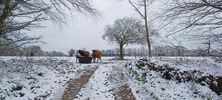 Filename : IMG-20240114-WA0018.jpg
Filesize : 236KB
Dimensions : 1750x787
Date added : Jan 14, 2024 IMG-20240114-WA0018.jpg