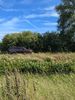 Filename : 1000077370.jpg
Filesize : 2281KB
Dimensions : 1750x2333
Date added : Jun 29, 2024 1000077370.jpg