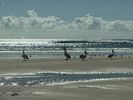 IMG_1800.jpeg