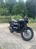IMG_7295.jpeg