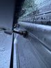 IMG_3597.jpeg