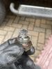 IMG_6437.jpeg